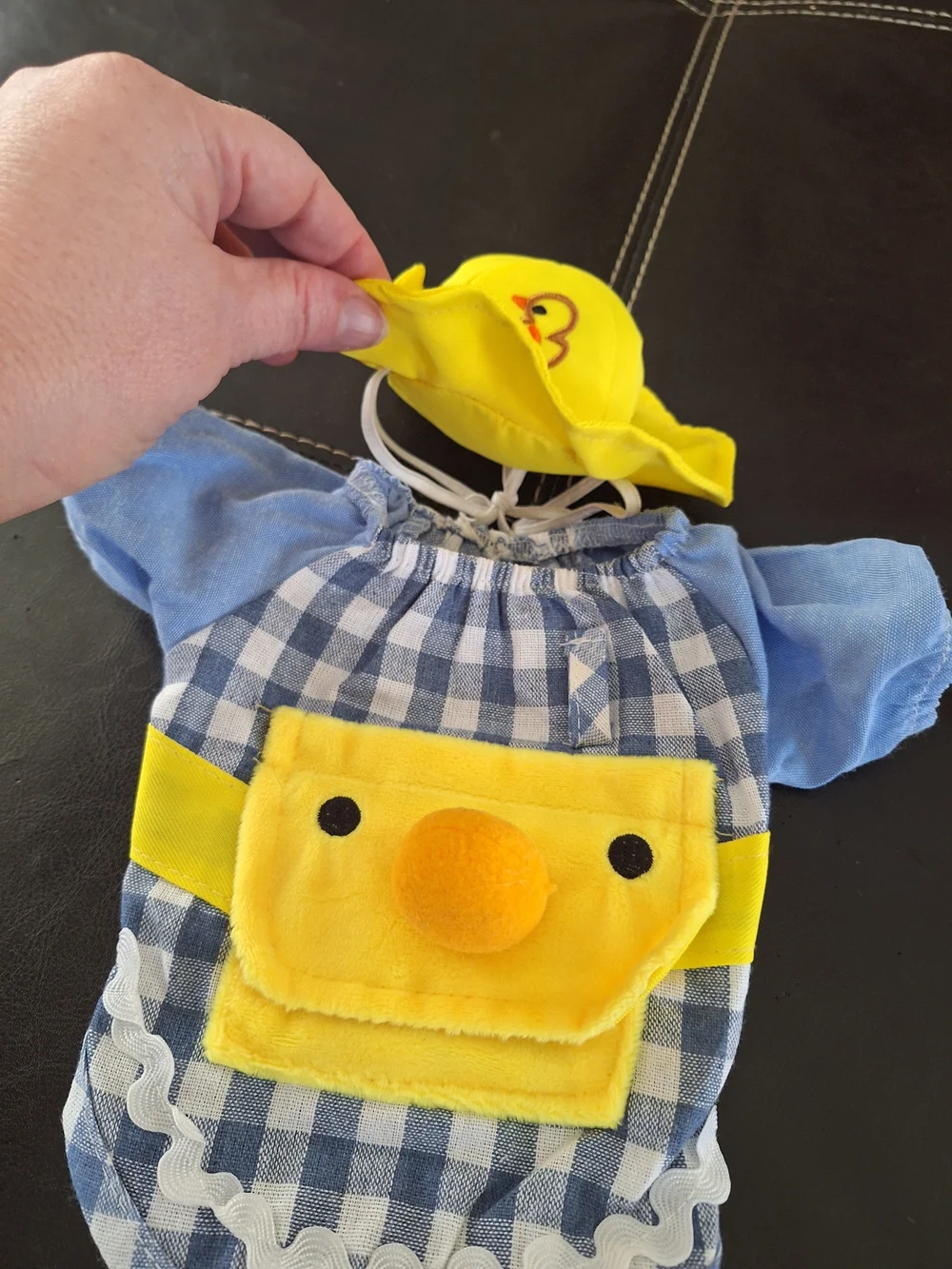 Dog Outfit